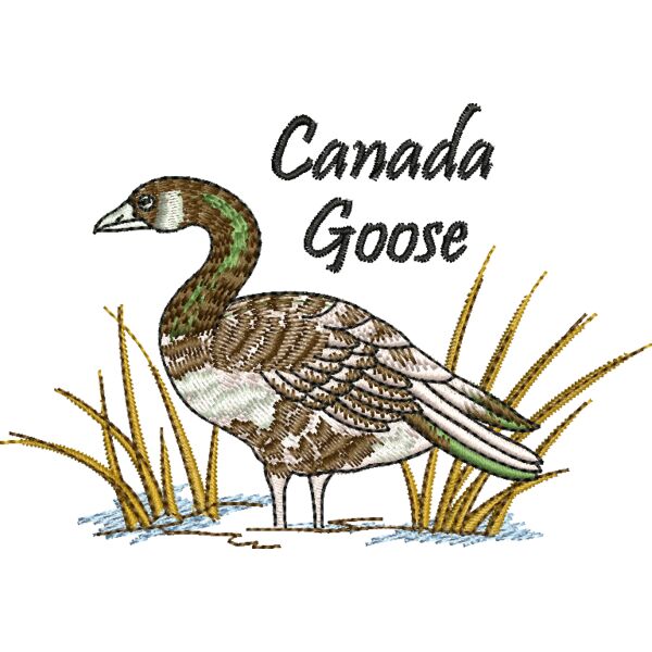 66315 Miniaturansicht