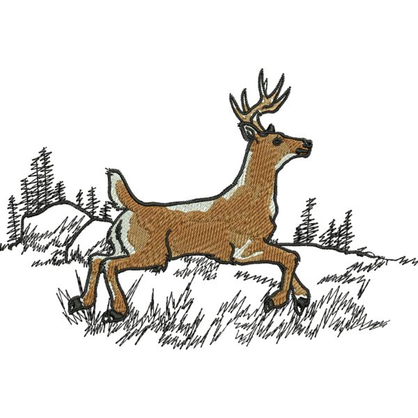 76645 Miniaturansicht