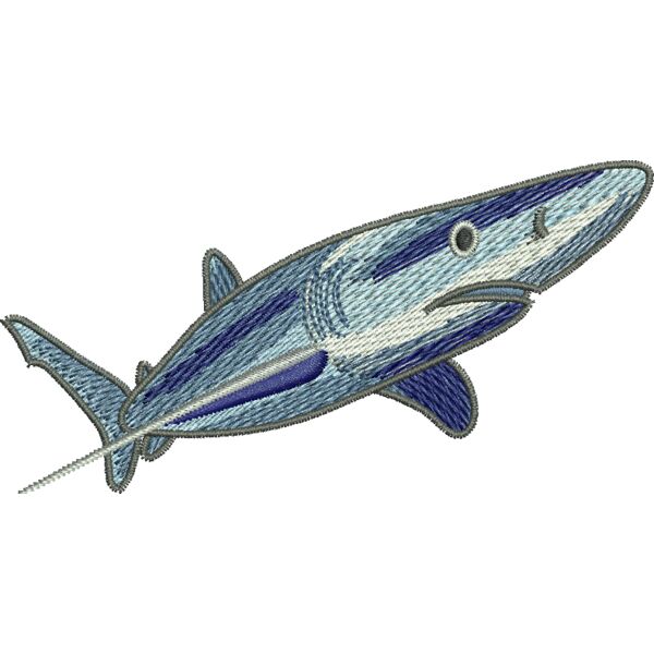 55293 Miniaturansicht