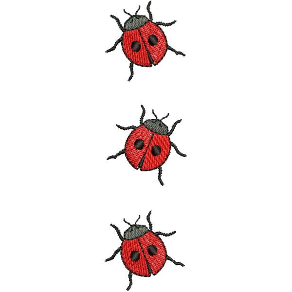 45554 Miniaturansicht