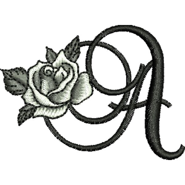 50393 Miniaturansicht