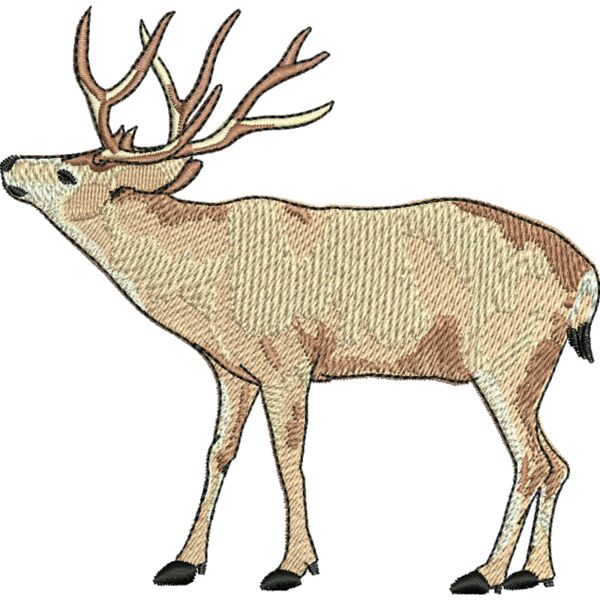 70558 Miniaturansicht