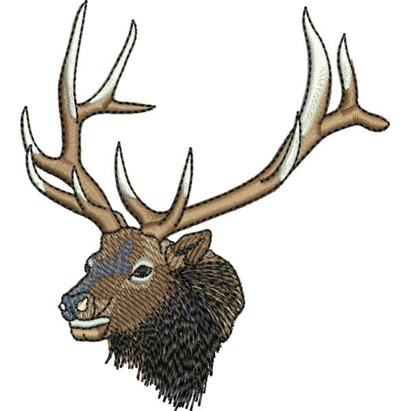 50705 Miniaturansicht