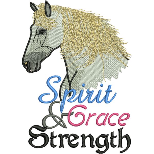 55634 Miniaturansicht