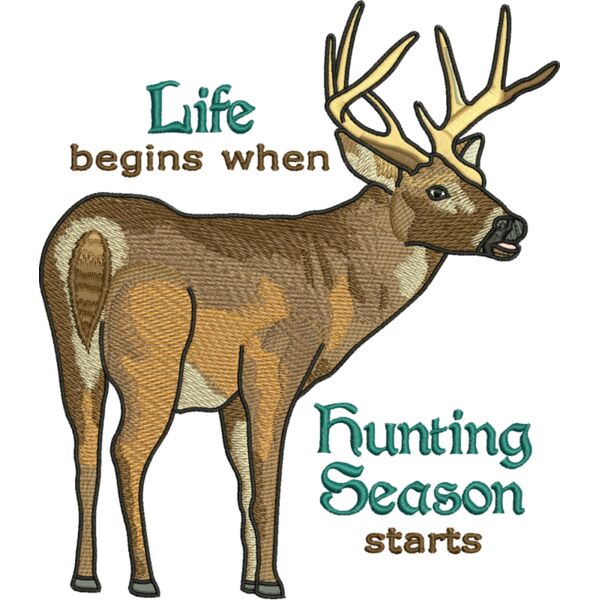 50624 Miniaturansicht