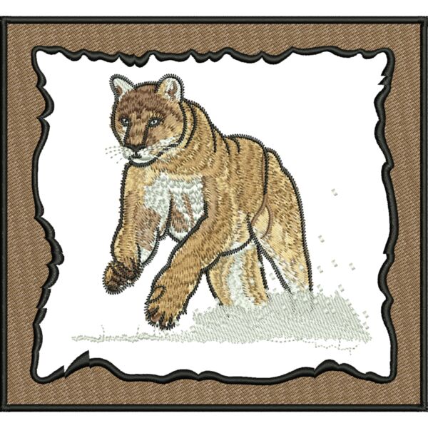 55388 Miniaturansicht