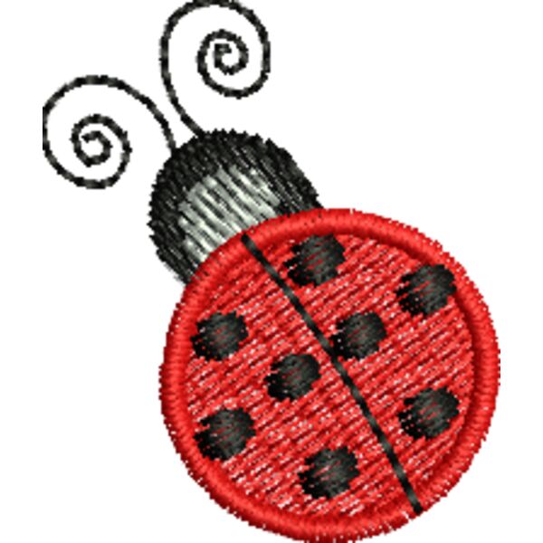 45563 Miniaturansicht