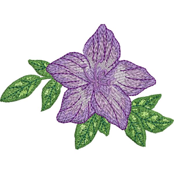 69289 Miniaturansicht