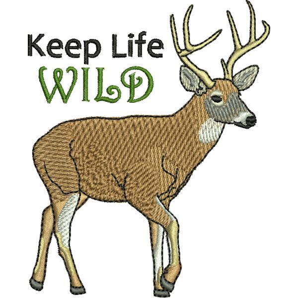 50663 Miniaturansicht