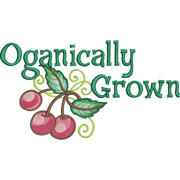 15546 Miniaturansicht