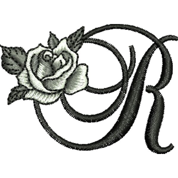 50410 Miniaturansicht