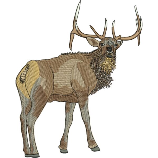 50697 Miniaturansicht