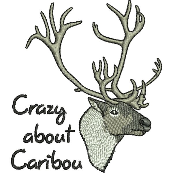 50639 Miniaturansicht