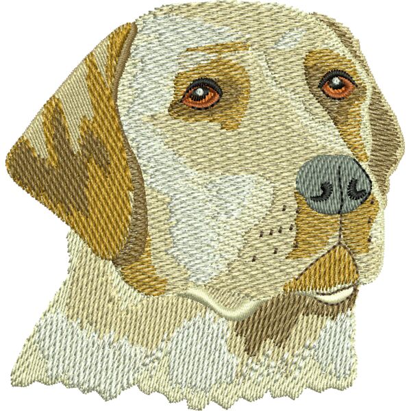 76699 Miniaturansicht