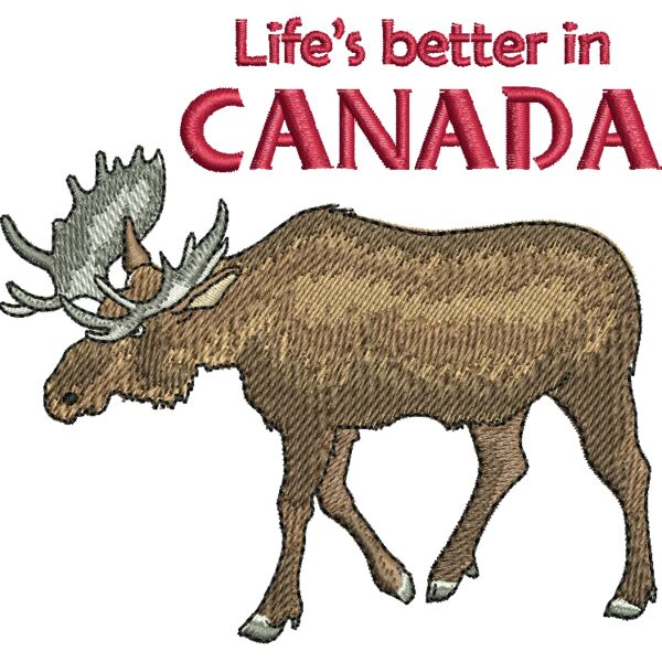 67652 Miniaturansicht