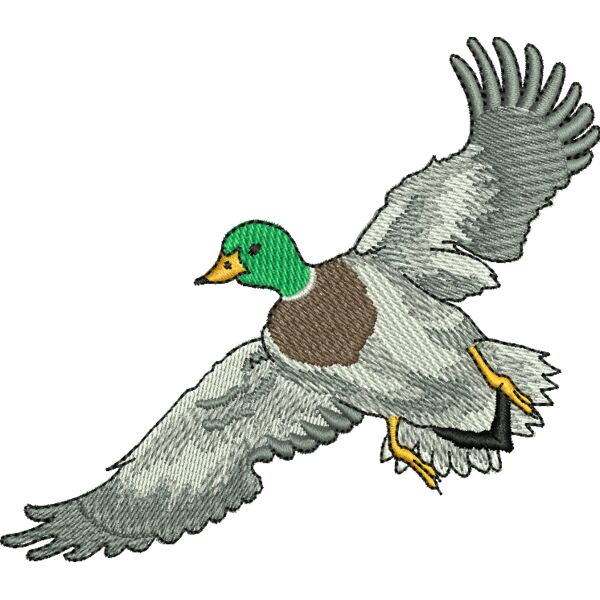 67634 Miniaturansicht