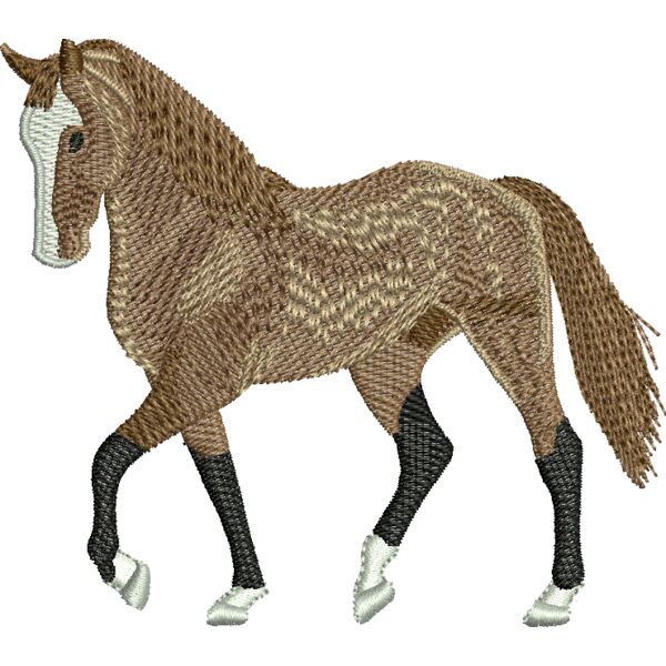 50868 Miniaturansicht