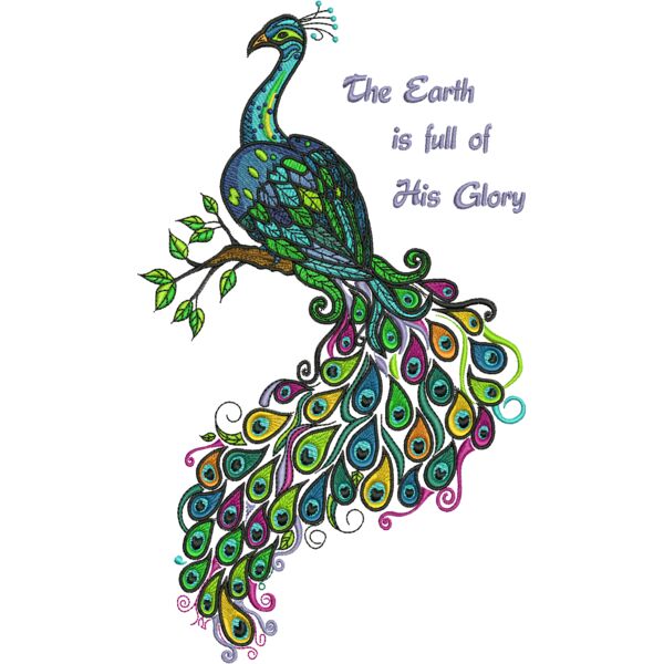 79553 Miniaturansicht