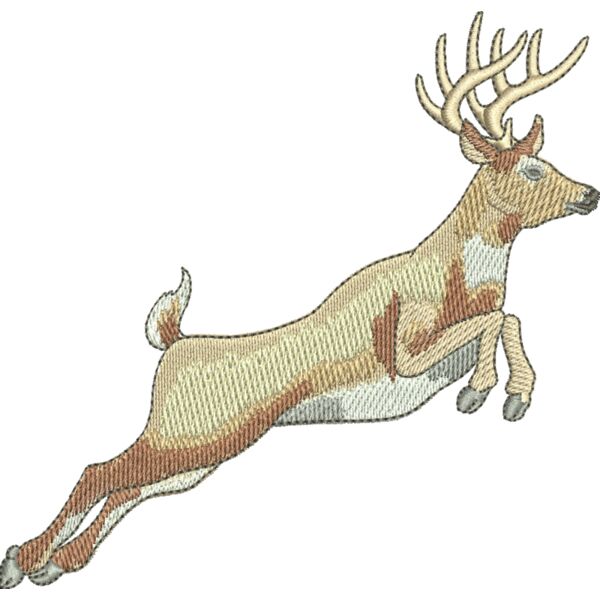 67971 Miniaturansicht