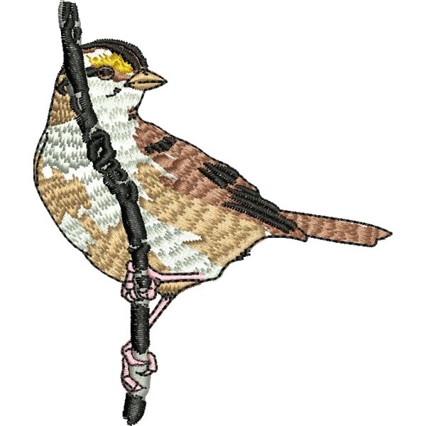 69203 Miniaturansicht