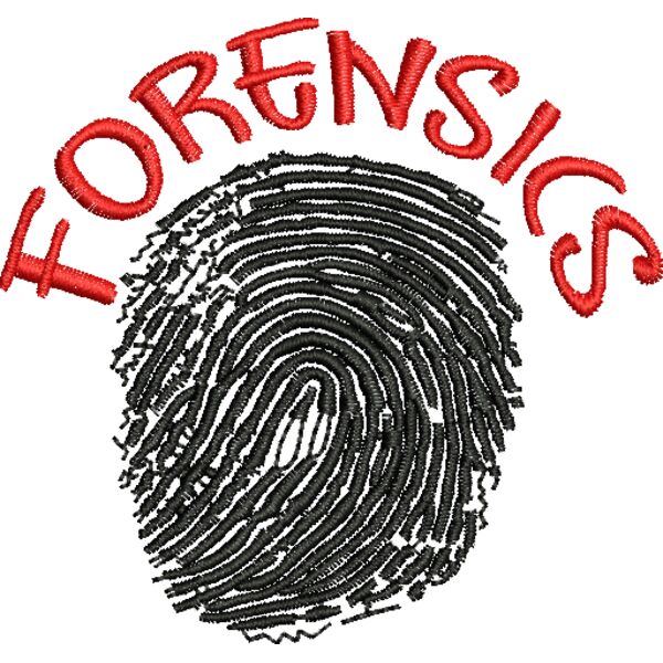 60508 Miniaturansicht