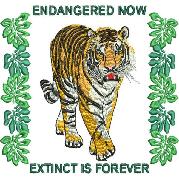 52993 Miniaturansicht