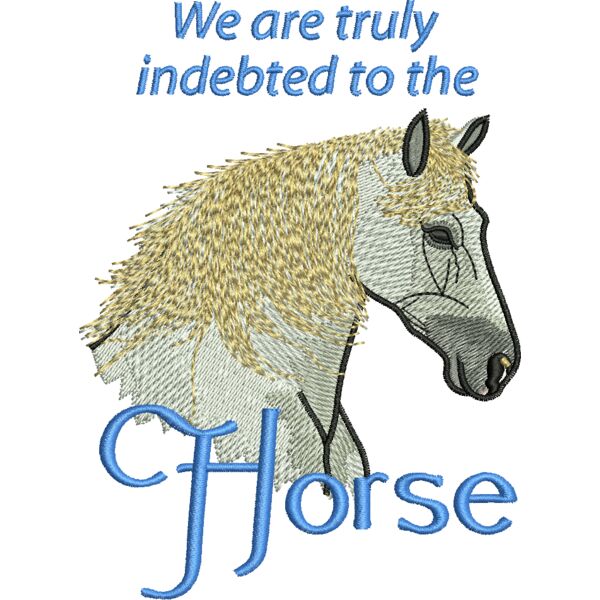 55633 Miniaturansicht