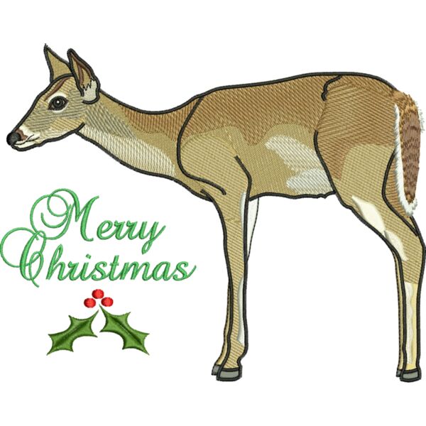 50671 Miniaturansicht