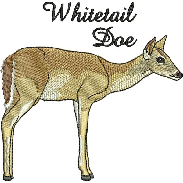 50676 Miniaturansicht