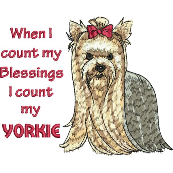 77636 Miniaturansicht