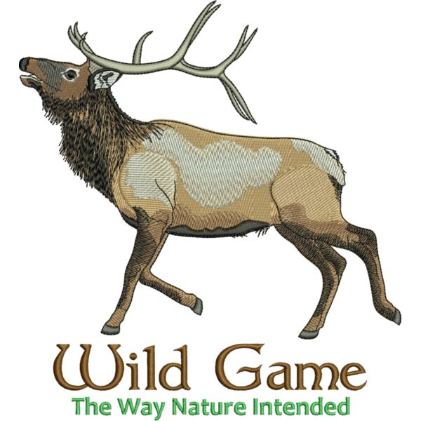 50696 Miniaturansicht