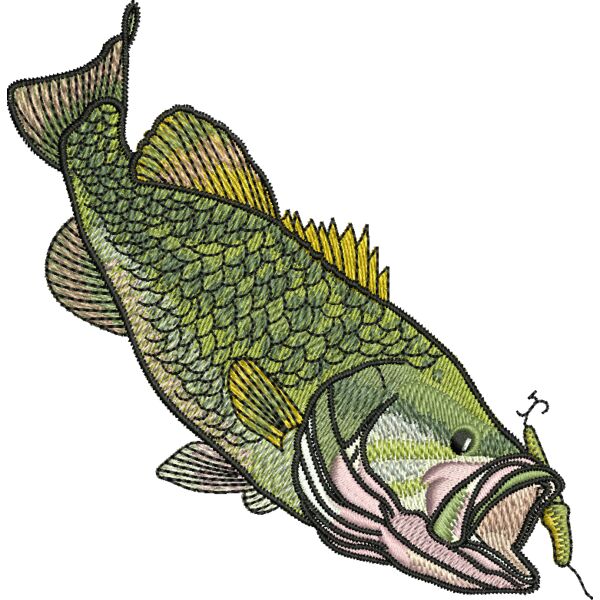 55470 Miniaturansicht