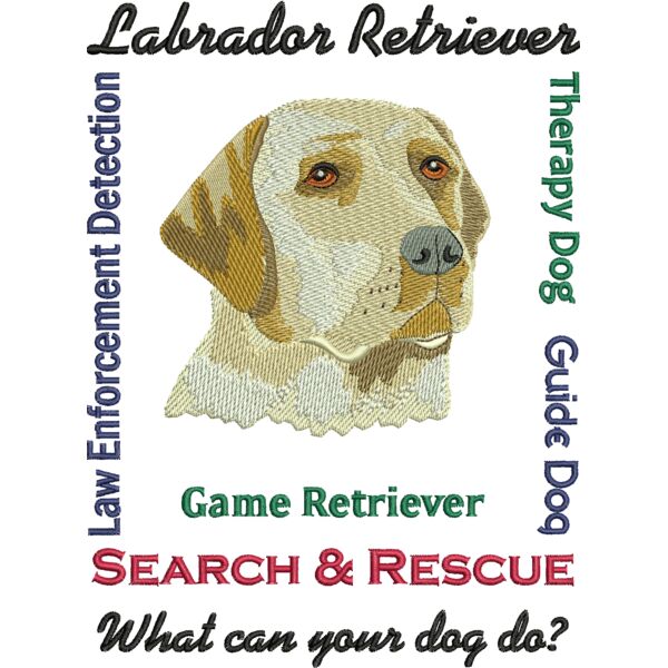 76702 Miniaturansicht