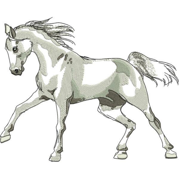 79865 Miniaturansicht