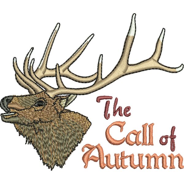 50684 Miniaturansicht