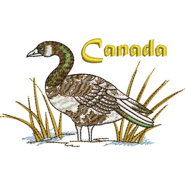 66317 Miniaturansicht