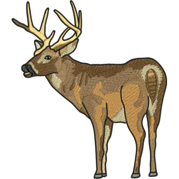 50621 Miniaturansicht