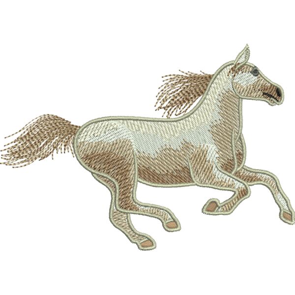 55635 Miniaturansicht