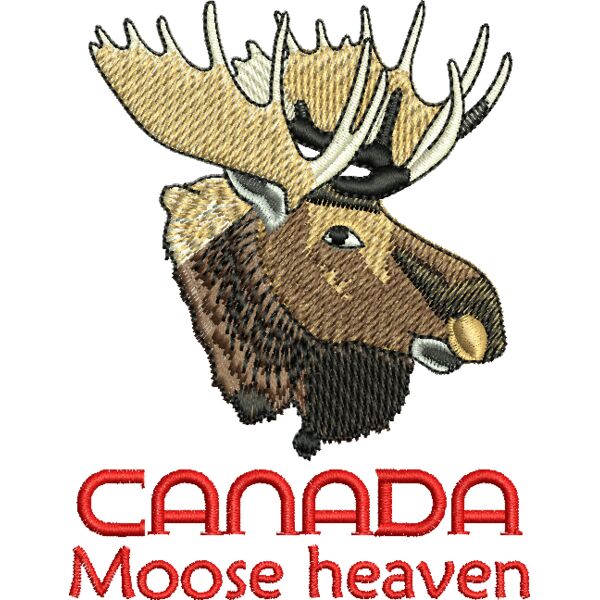 50730 Miniaturansicht