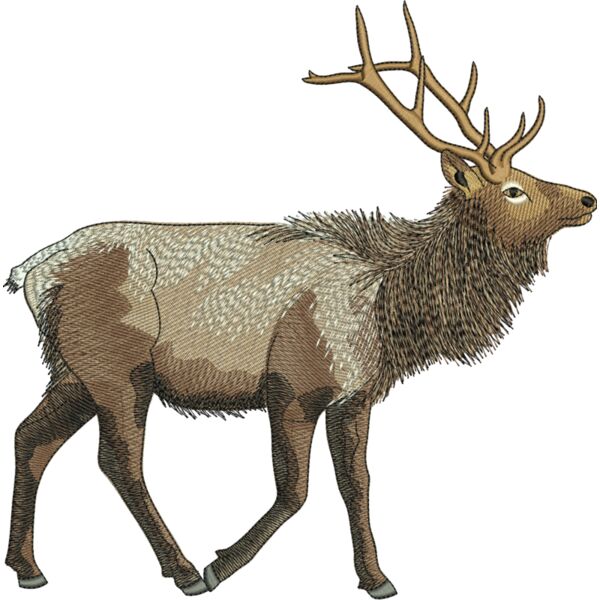 50689 Miniaturansicht