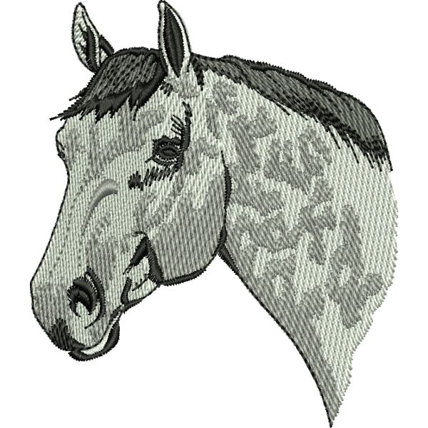 66810 Miniaturansicht