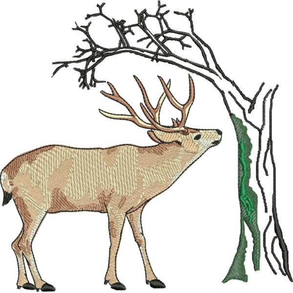 70561 Miniaturansicht