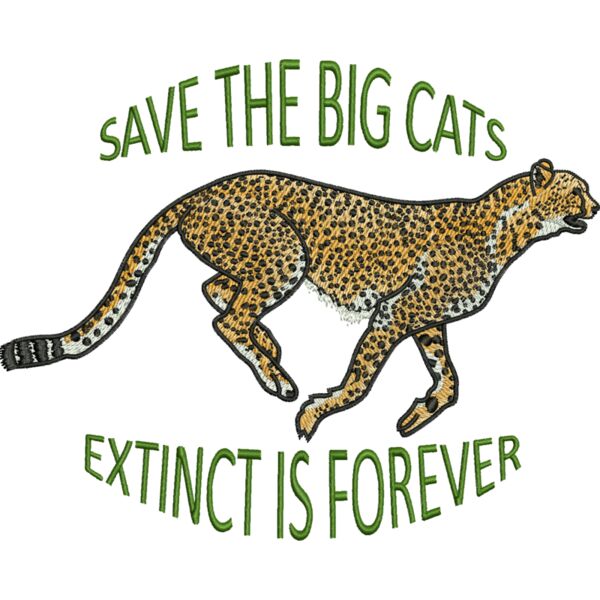 55405 Miniaturansicht