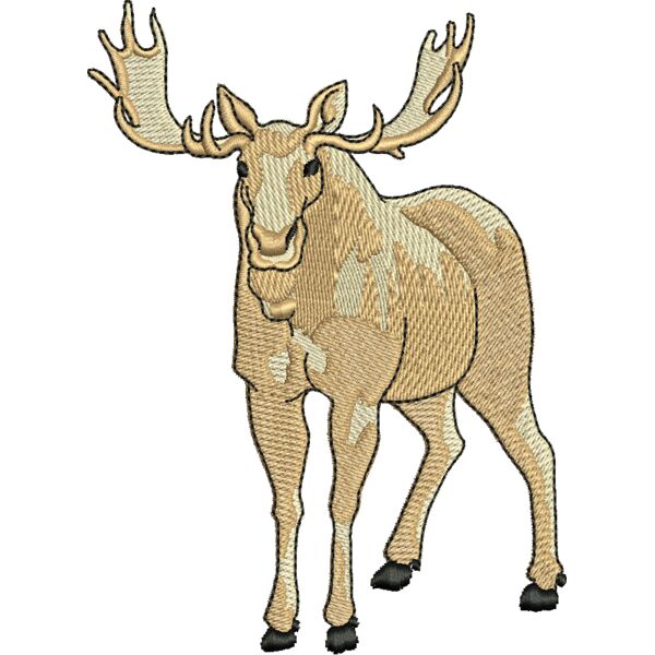 71448 Miniaturansicht