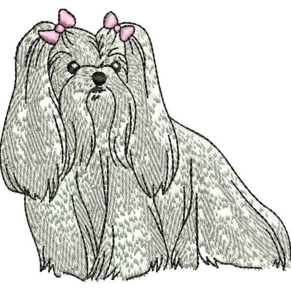 77788 Miniaturansicht