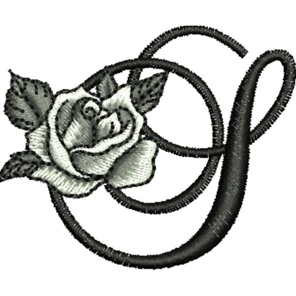 50411 Miniaturansicht