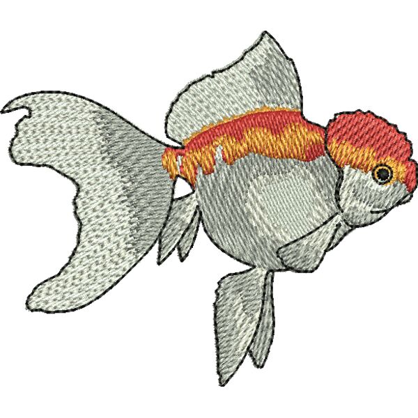 69555 Miniaturansicht