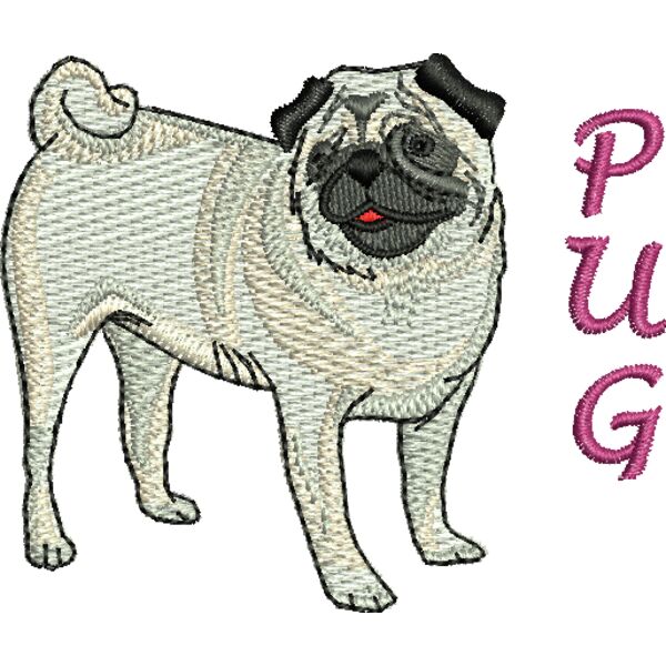 66309 Miniaturansicht