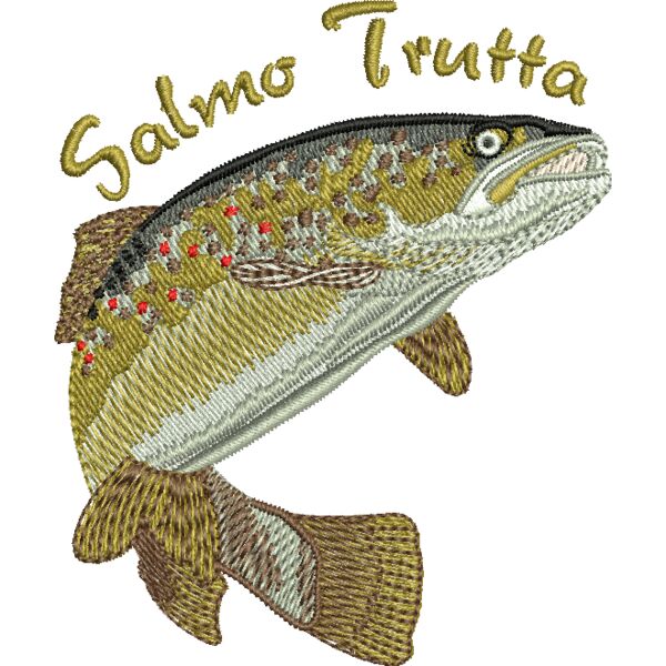 50864 Miniaturansicht