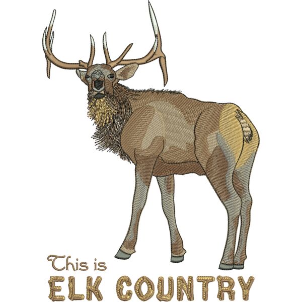 50698 Miniaturansicht